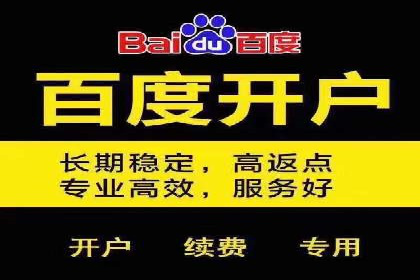 某电商平台的SEM服务托管全流程案例
